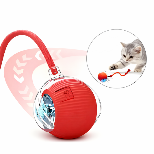 ACTIVA™ - Diversión que se mueve sola