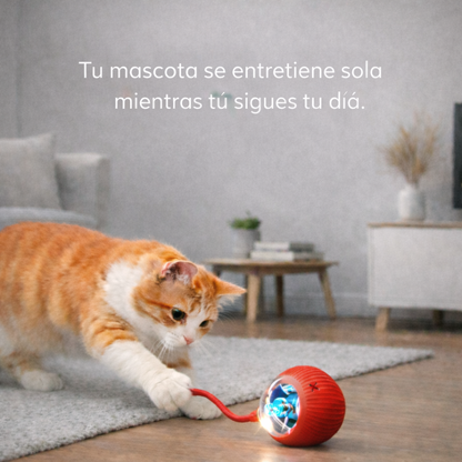 ACTIVA™ - Diversión que se mueve sola